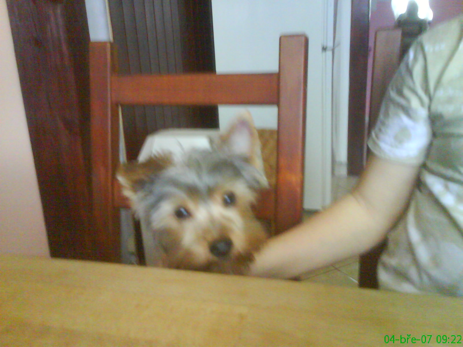 DSC00019.JPG